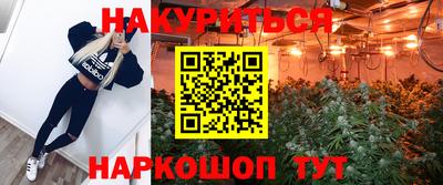 сатива Кулебаки