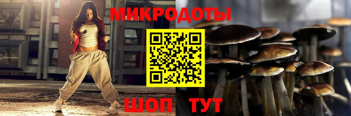 Галлюциногенные грибы Psilocybe  Псилоцибиновые грибы мухоморы  Еманжелинск  Вход с VPN 